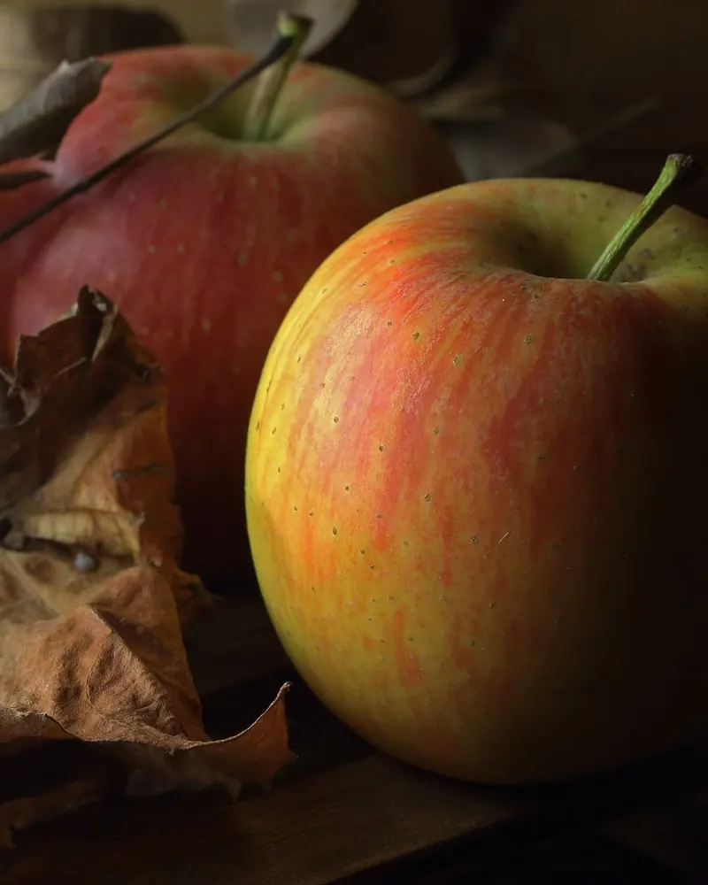 Apples pome fruit autumn