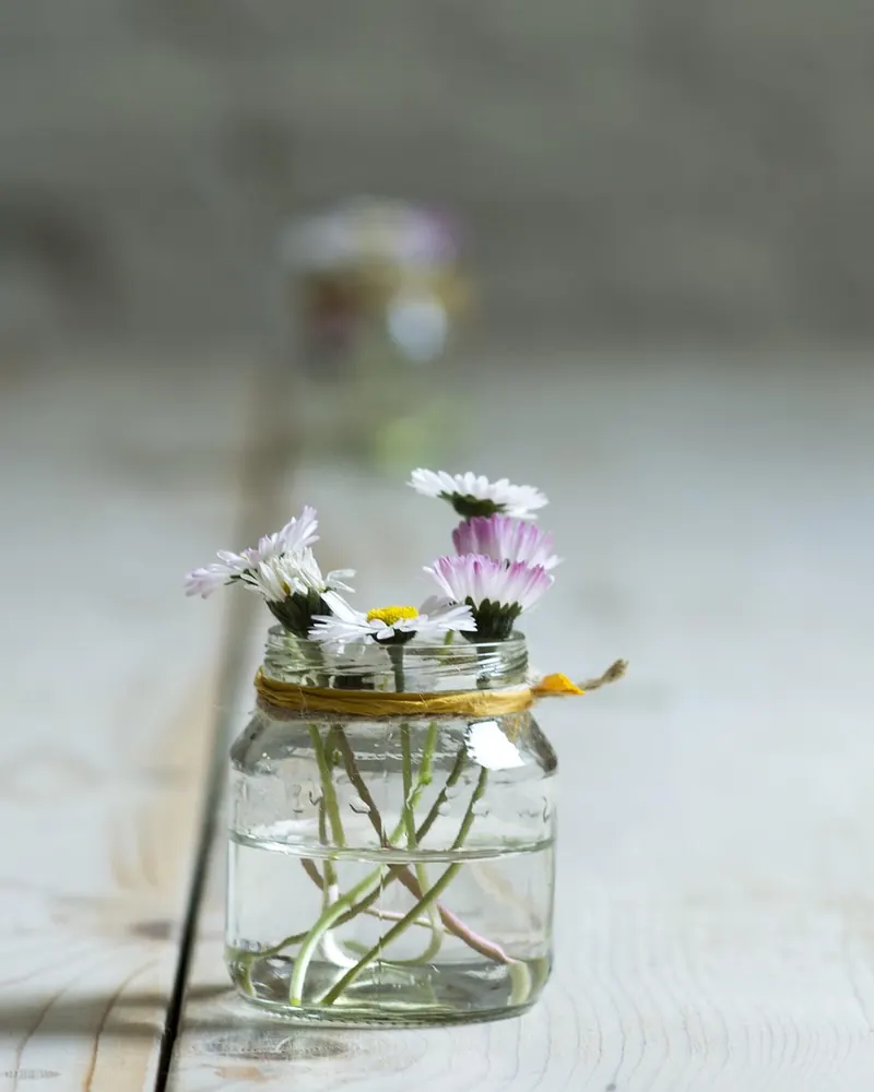 Flowers jar vase