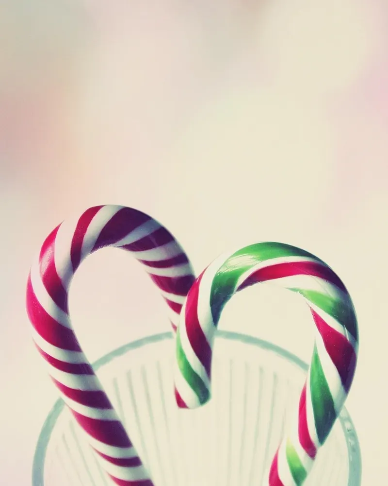 Candy cane sweetness cute