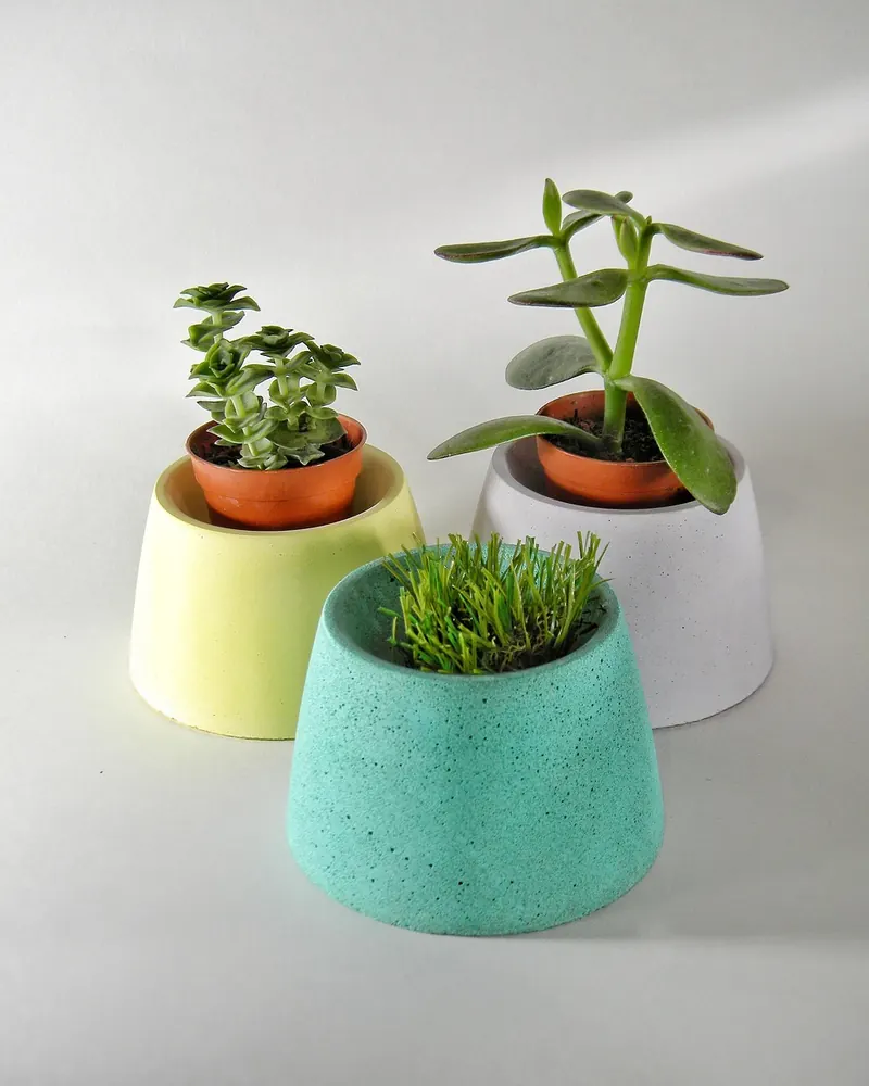 Ornamental flowerpot nature plant