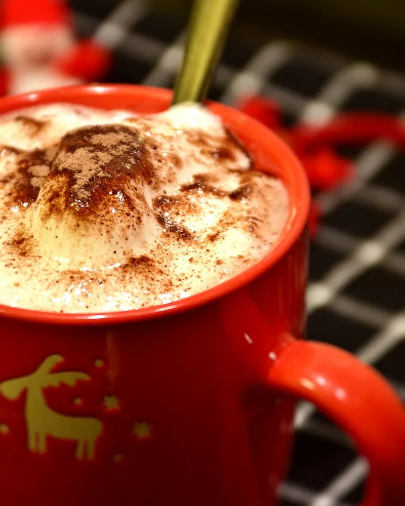 Cup chocolate cocoa