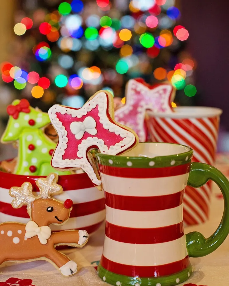 Cup mug hot chocolate