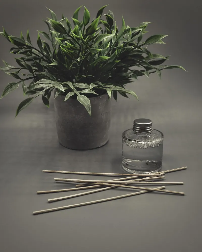 Diffuser plant reeds