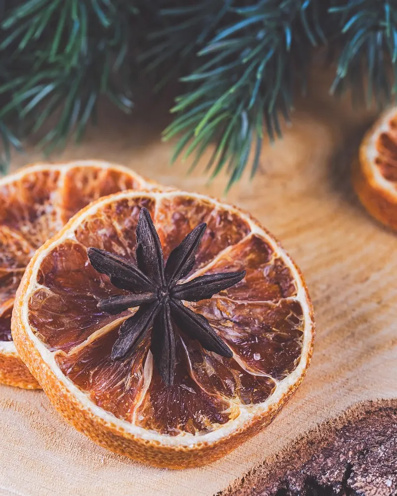 Orange slice dried