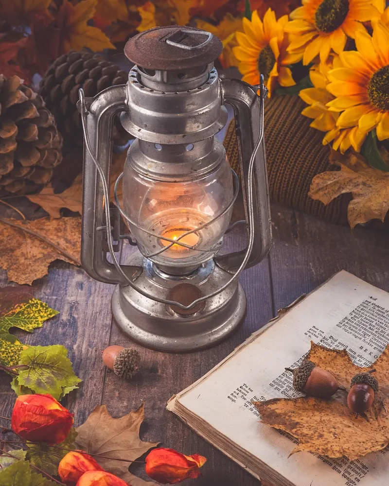 Leaves foliage candlelight