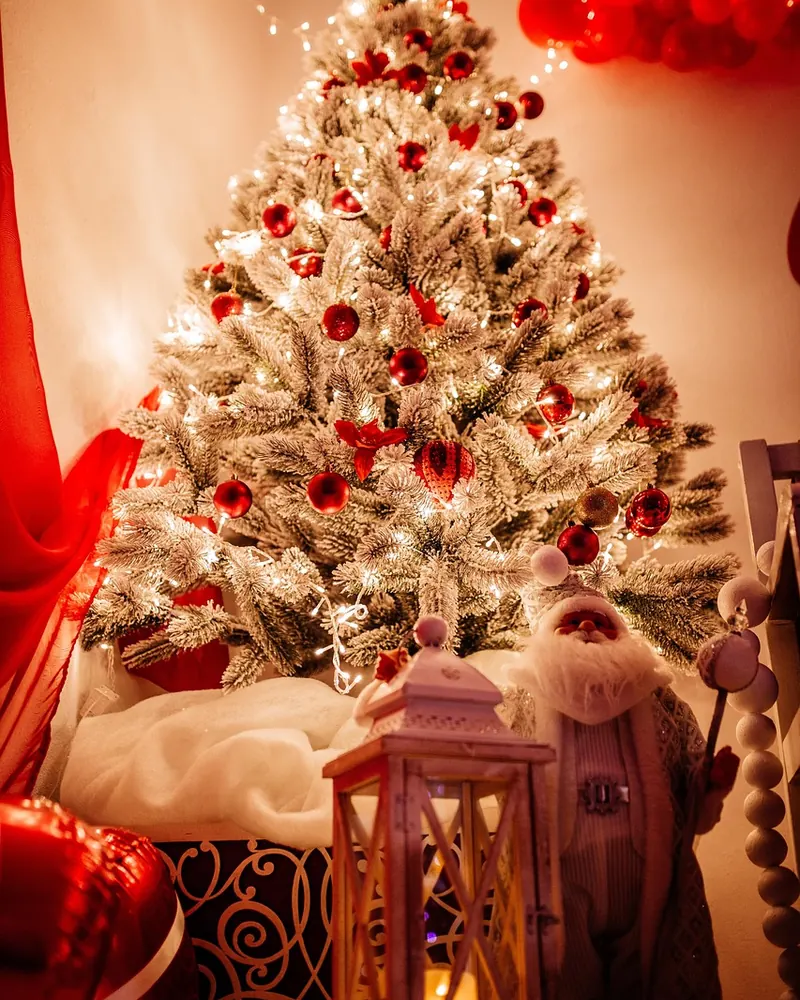 Garland christmas nature