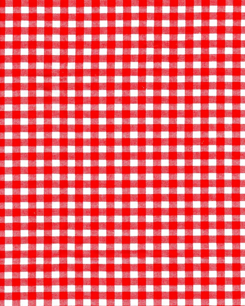 Gingham fabric red
