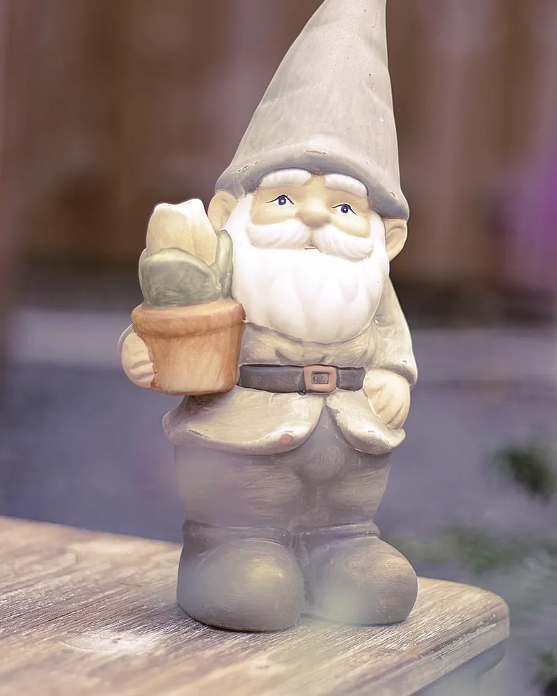 Garden gnome dwarf garden