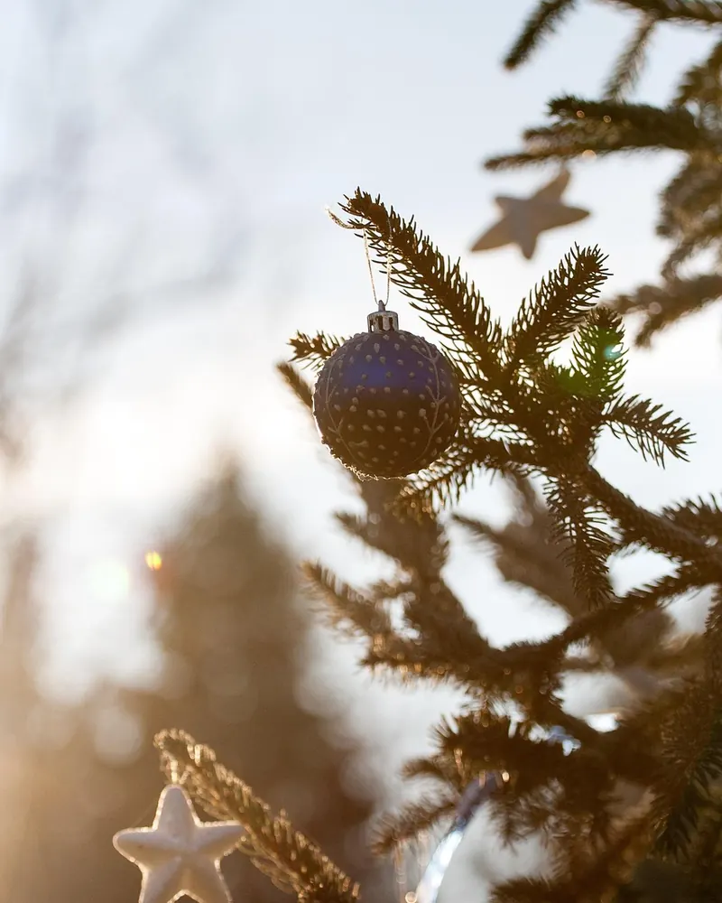 Ornament christmas decoration