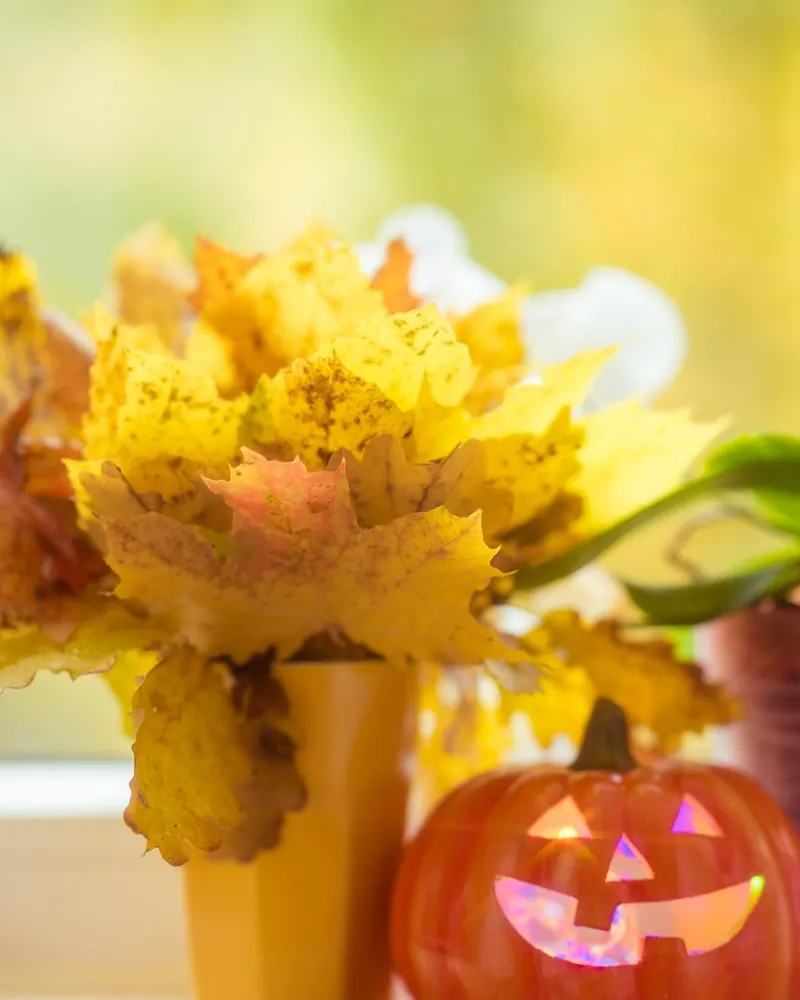 Halloween pumpkin leaves