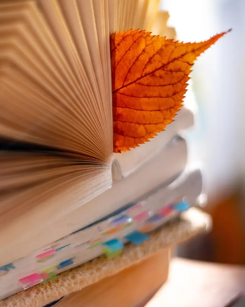 Books leaf bookmark