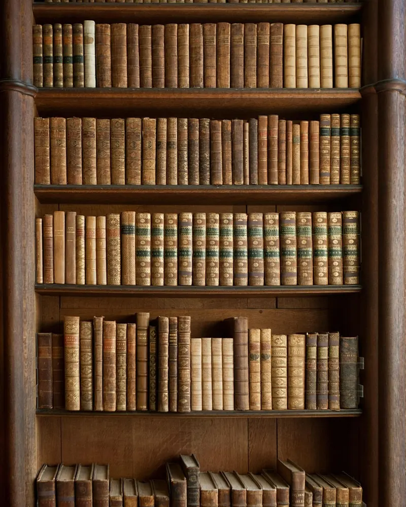 Books bookcase old books