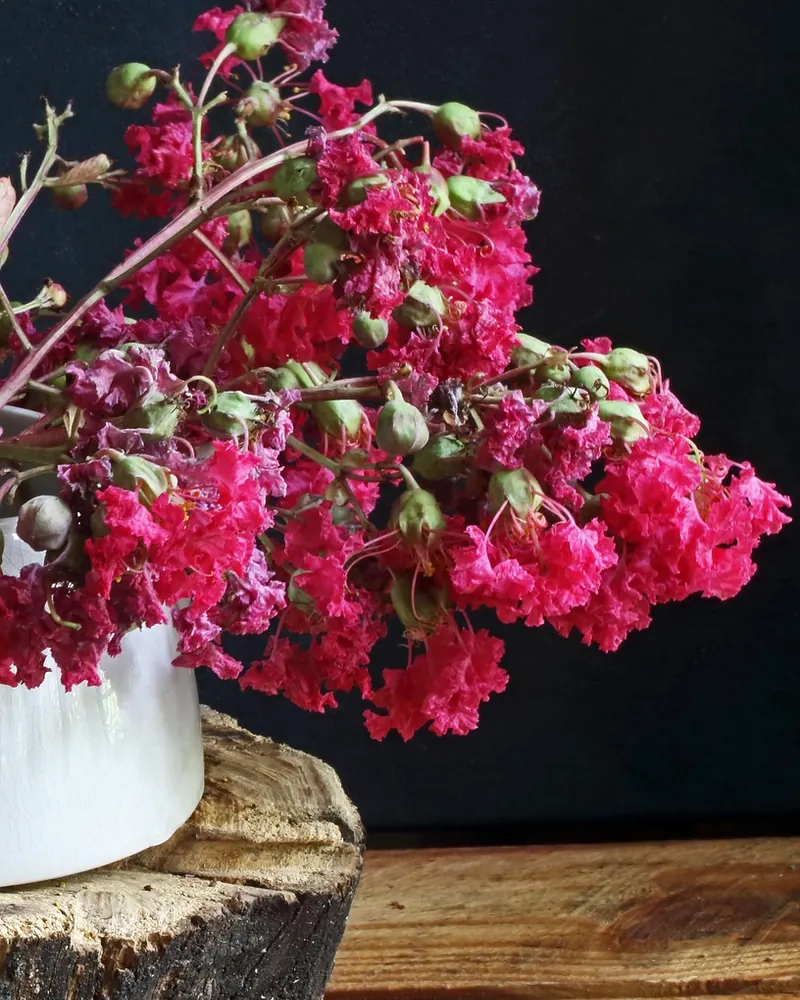 Flowers buds white porcelain vase