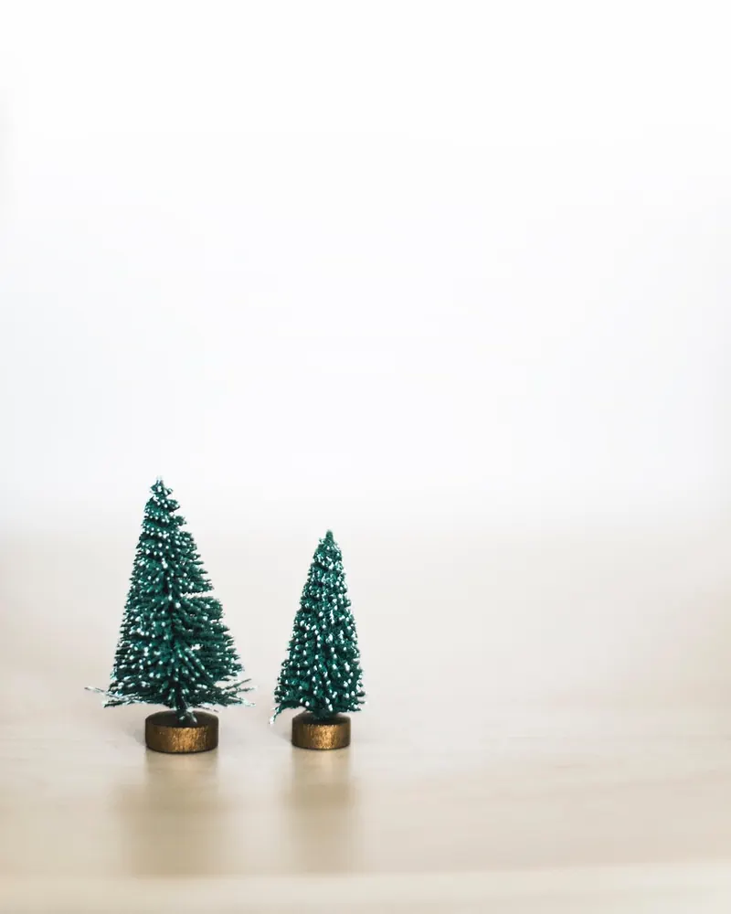 Christmas christmas trees decoration