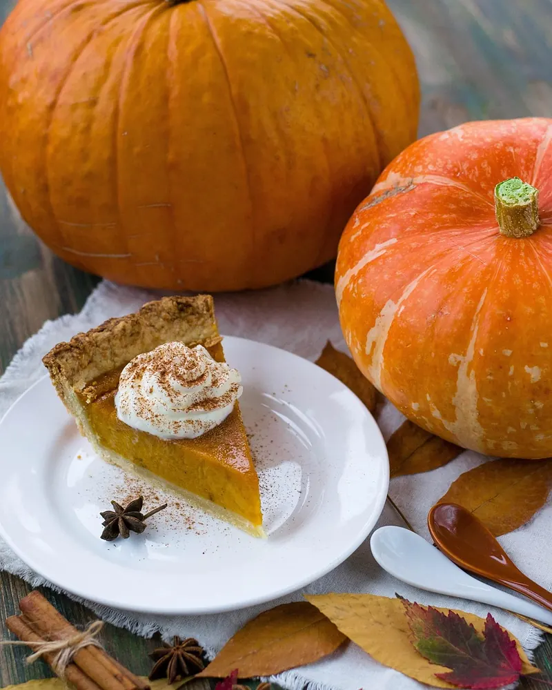 Pumpkin pie autumn pumpkin