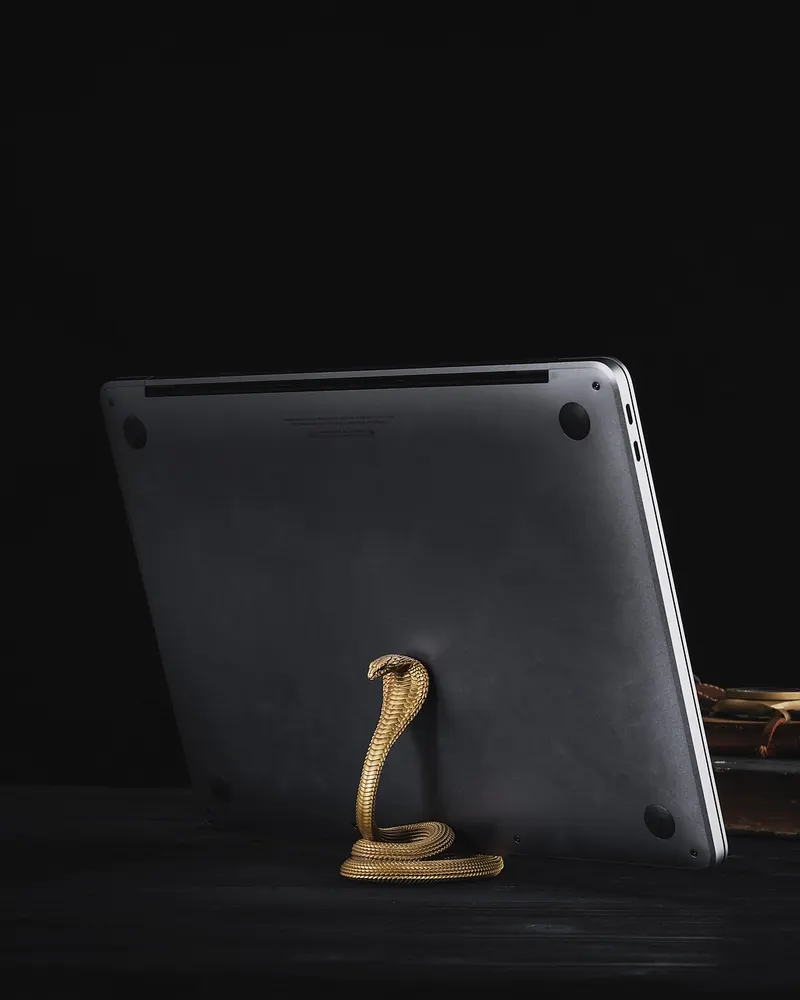 Cobra phone stand phone stand decoration