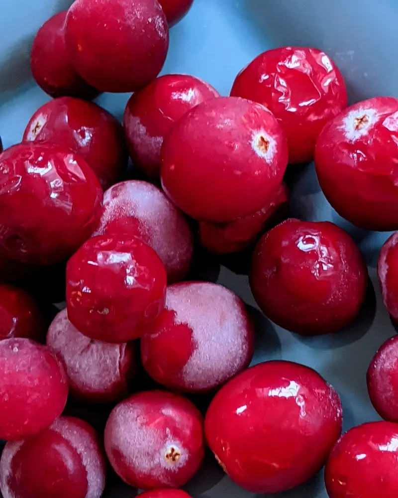 Fruit cranberries red