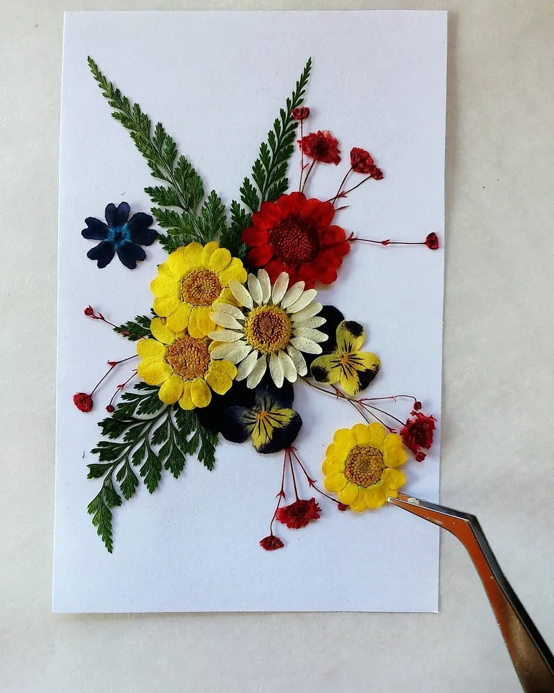 Pressed flowers colorful dry flowers