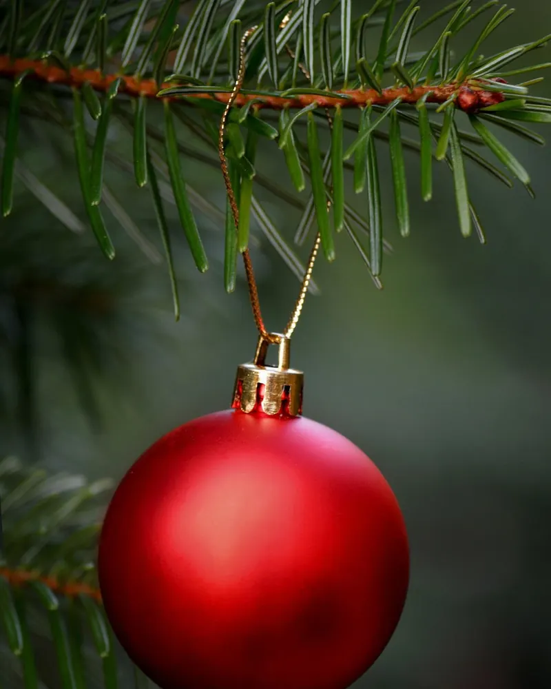 Red ball christmas fir branch