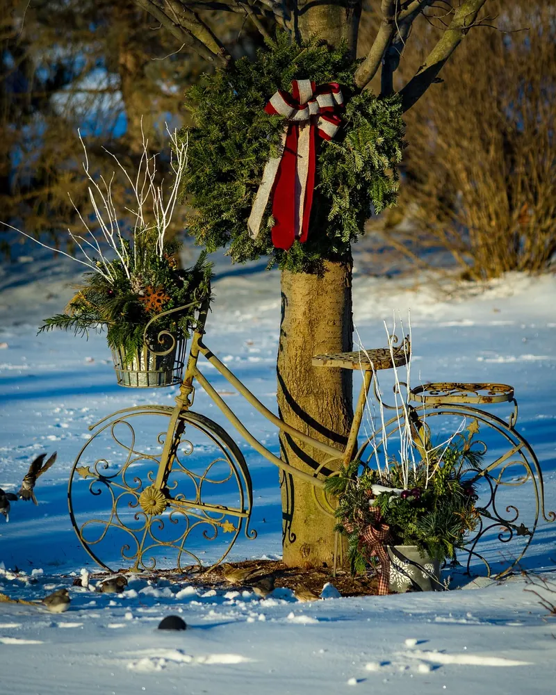 Tree winter outdoors