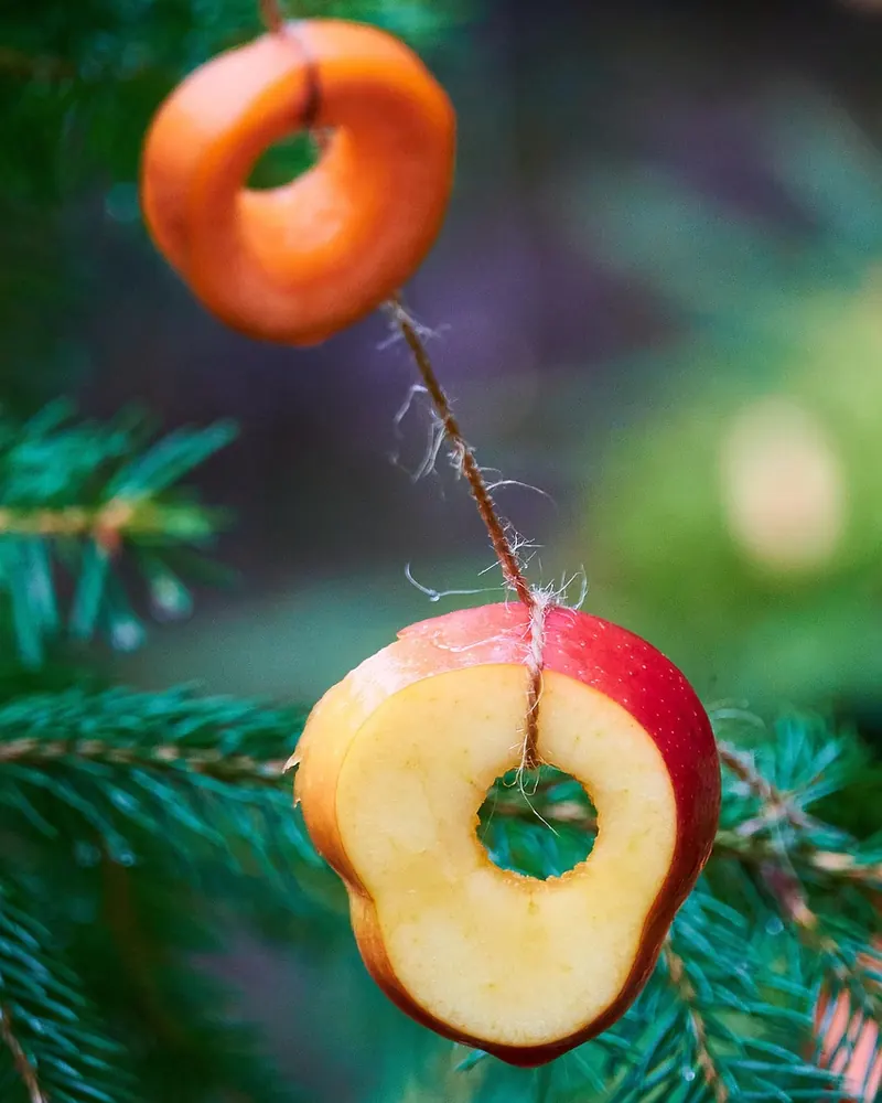 Christmas tree apple fruit