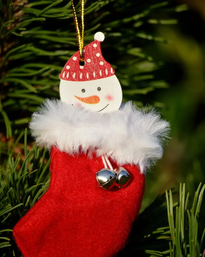 Jaw conifer nicholas stocking