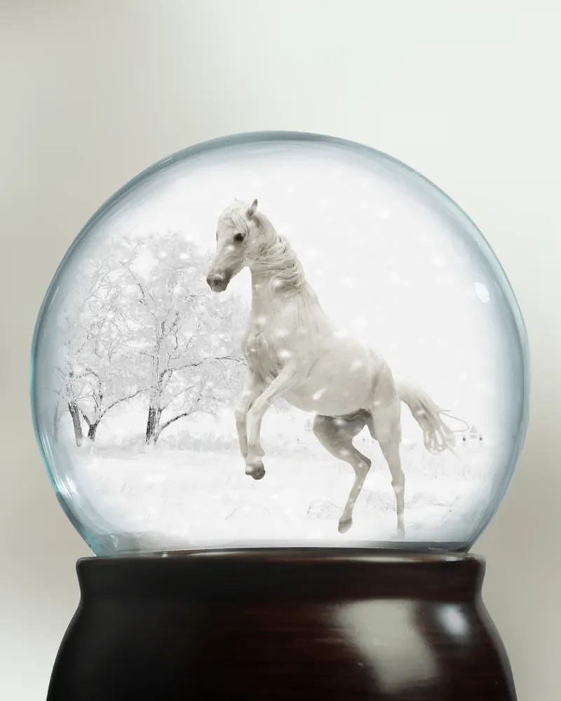 Snow globe play horse snow