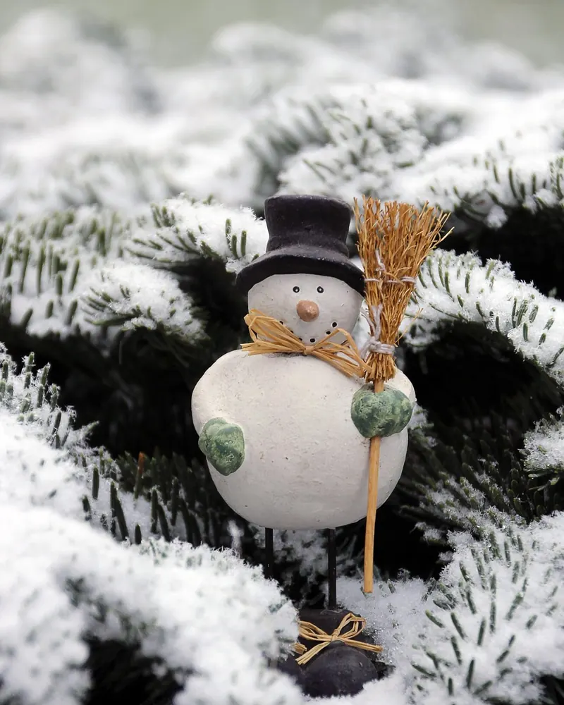 Snowman figure nature