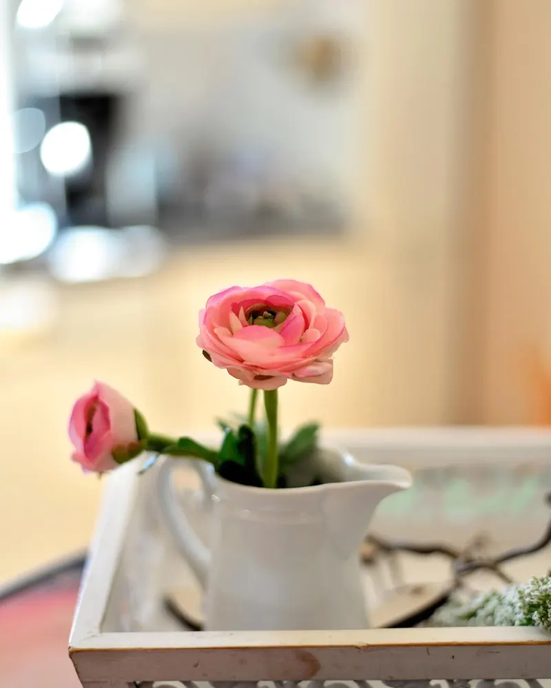 Ranunculus blossom nature