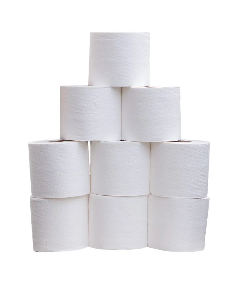 Toilet roll toilet rolls toilet tissue