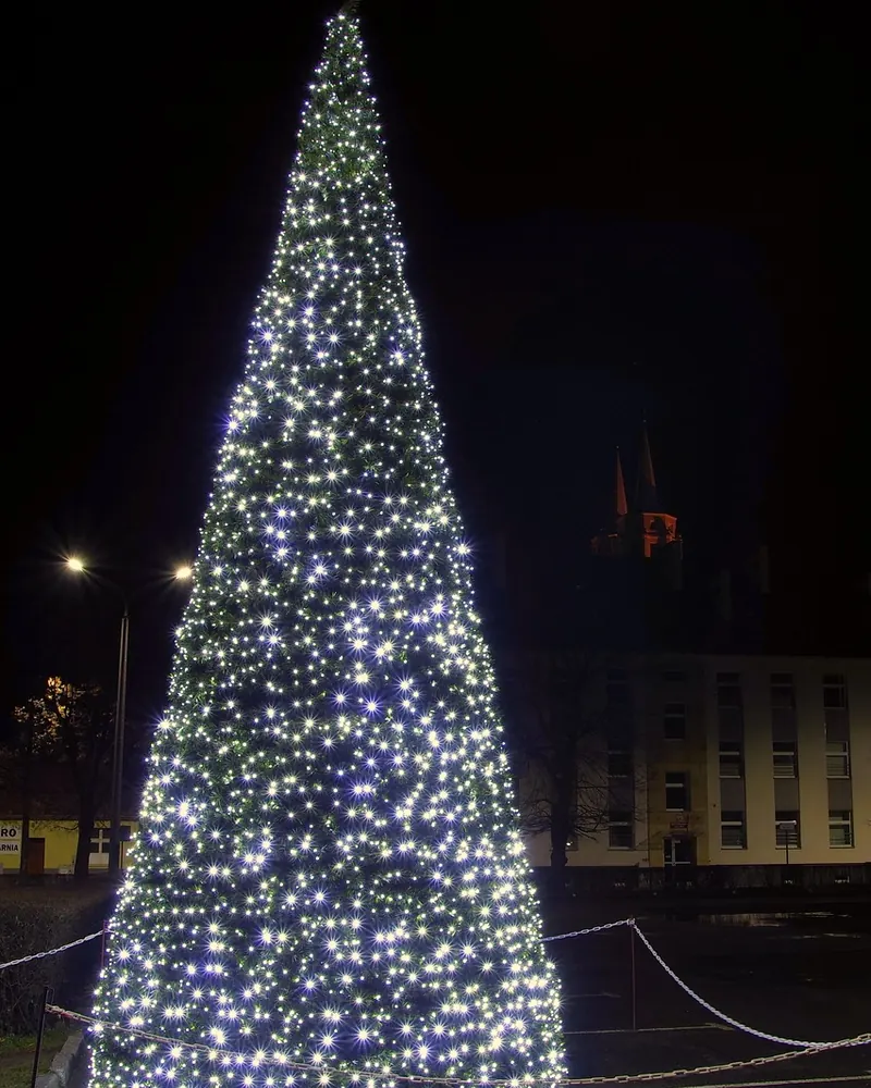 Christmas tree the lights stars