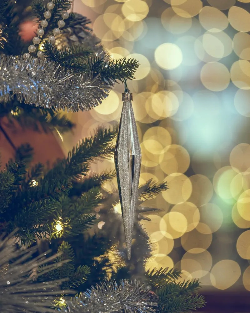 Branch ornaments lights