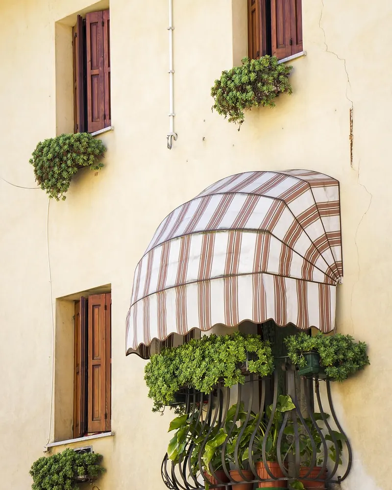 Window nature flowers