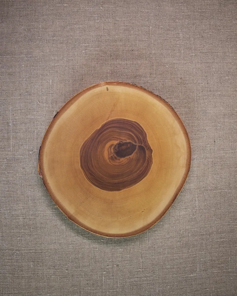 Slice wood saw cut